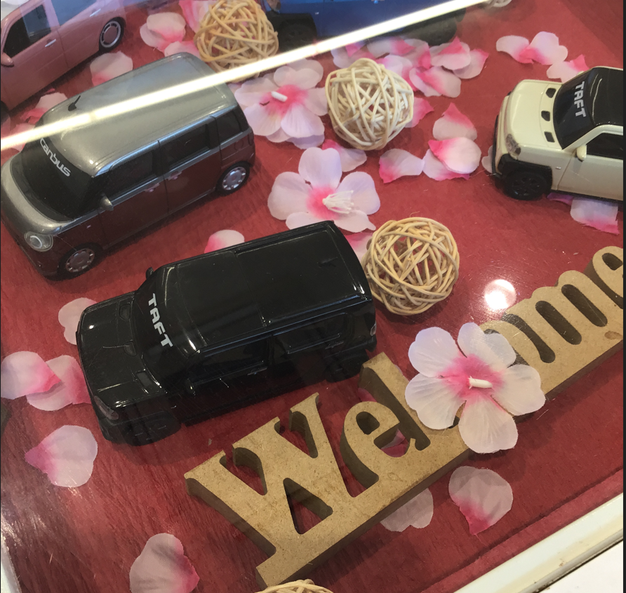 大人気!ロッキー🏔️